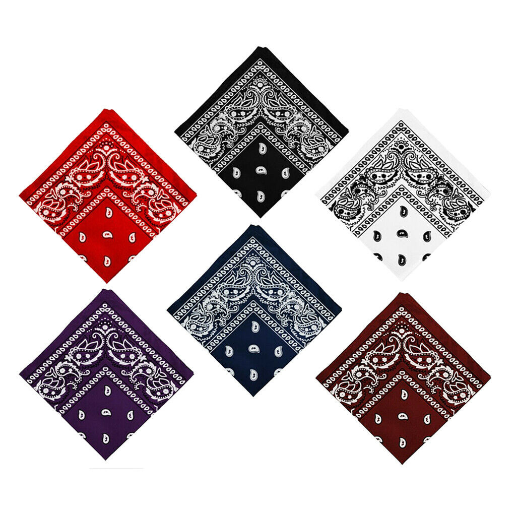6 Pieces Novelty Paisley Print Bandana Head Wrap Neck Hair Band Set 22x22"