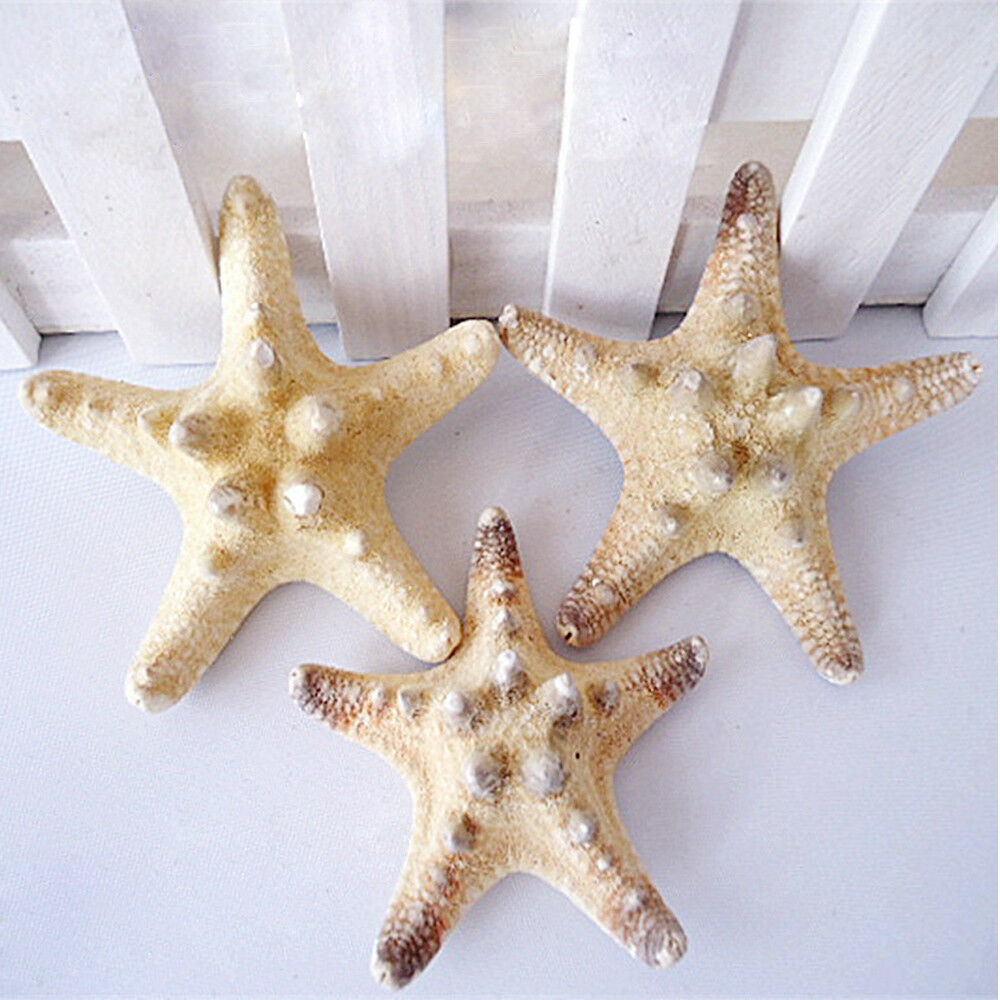 10X Natural Starfish Sea Star Shell Aquarium Fish Tank Landscape Making Decors