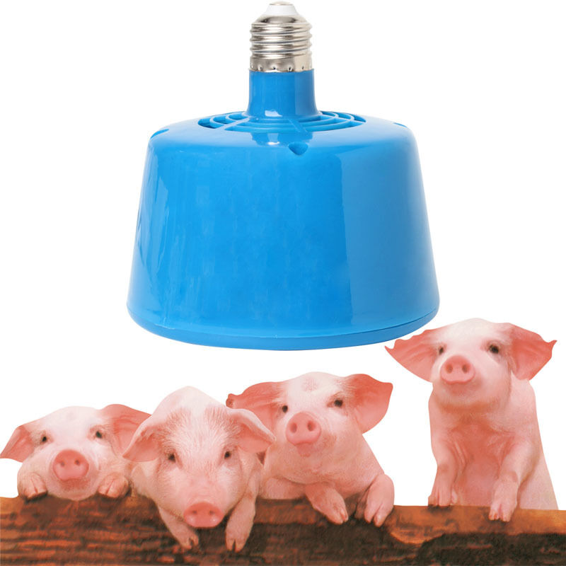 100-300W Pets Livestock Piglets Chickens Heat Warm Lamp Keep Warming Bulb 220V