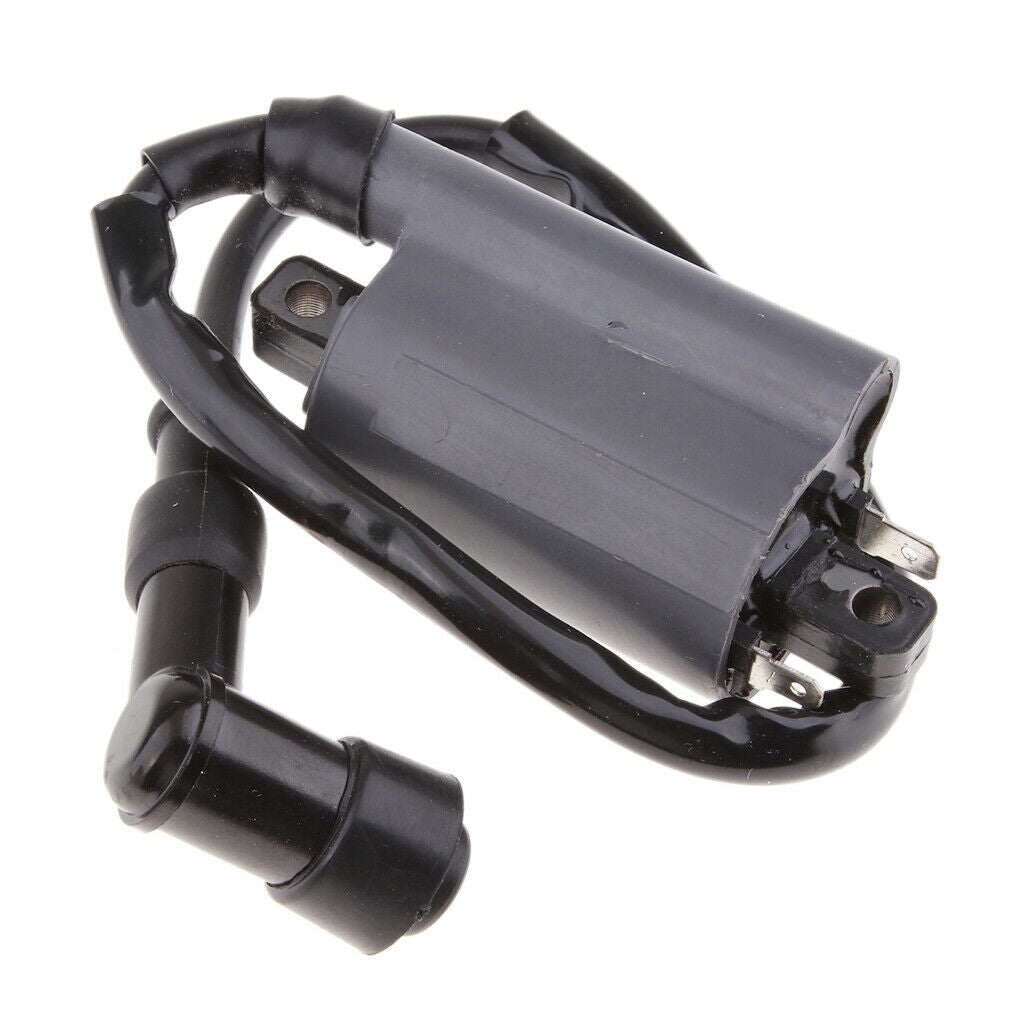 Ignition Coil Module for Buyang 300CC D300 G300 H300 ATV Quad BUGGY Black