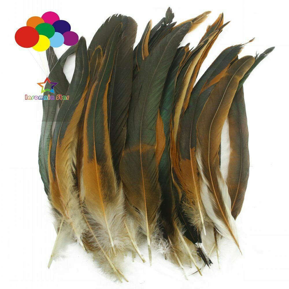 Natural 100 Pcs 12-14 Inch/ 30-35 cm Cock Chicken Tail Feathers DIY Crafts