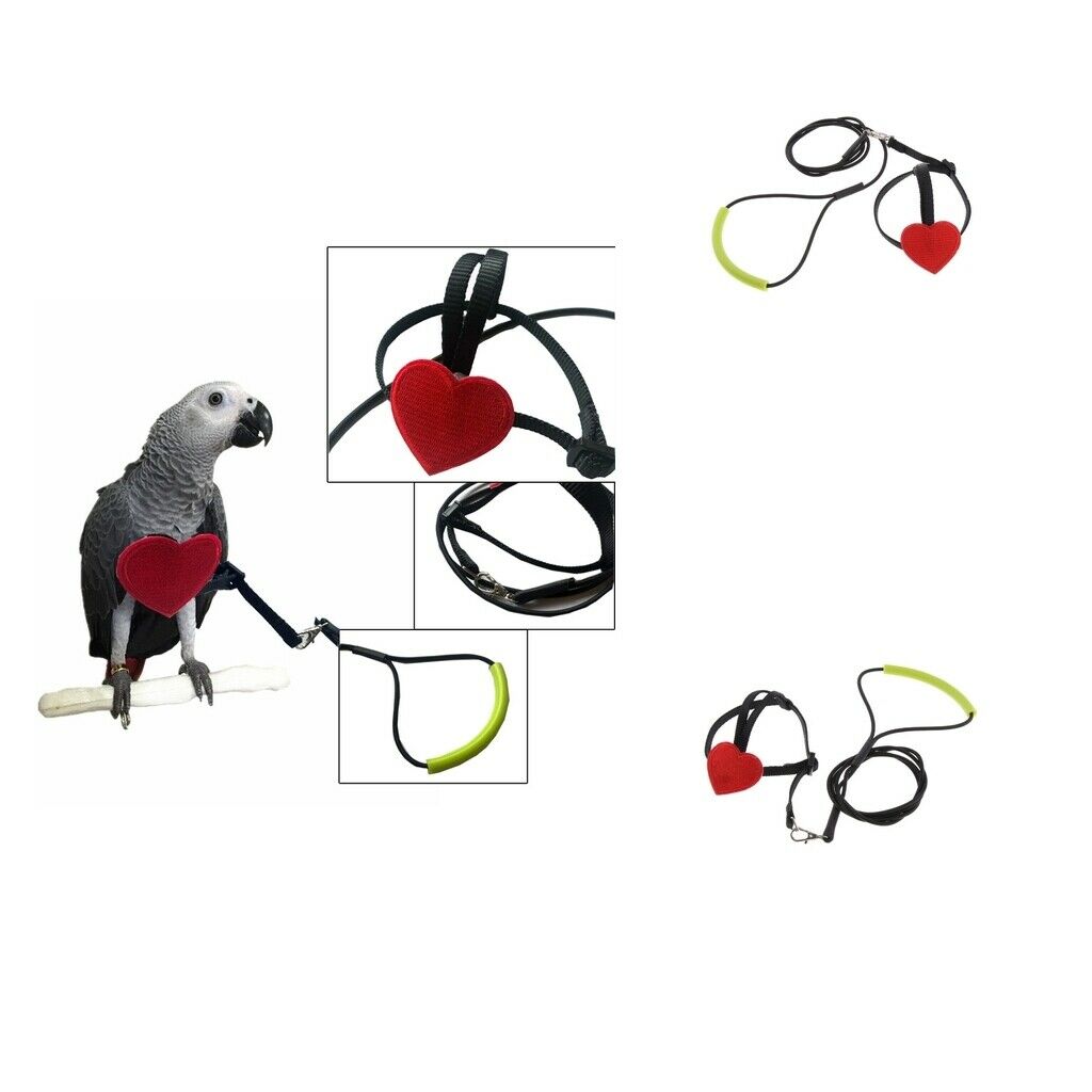 2 Pieces Parrots Birds Rope Parrots Harness Leash For Small Birds Finches