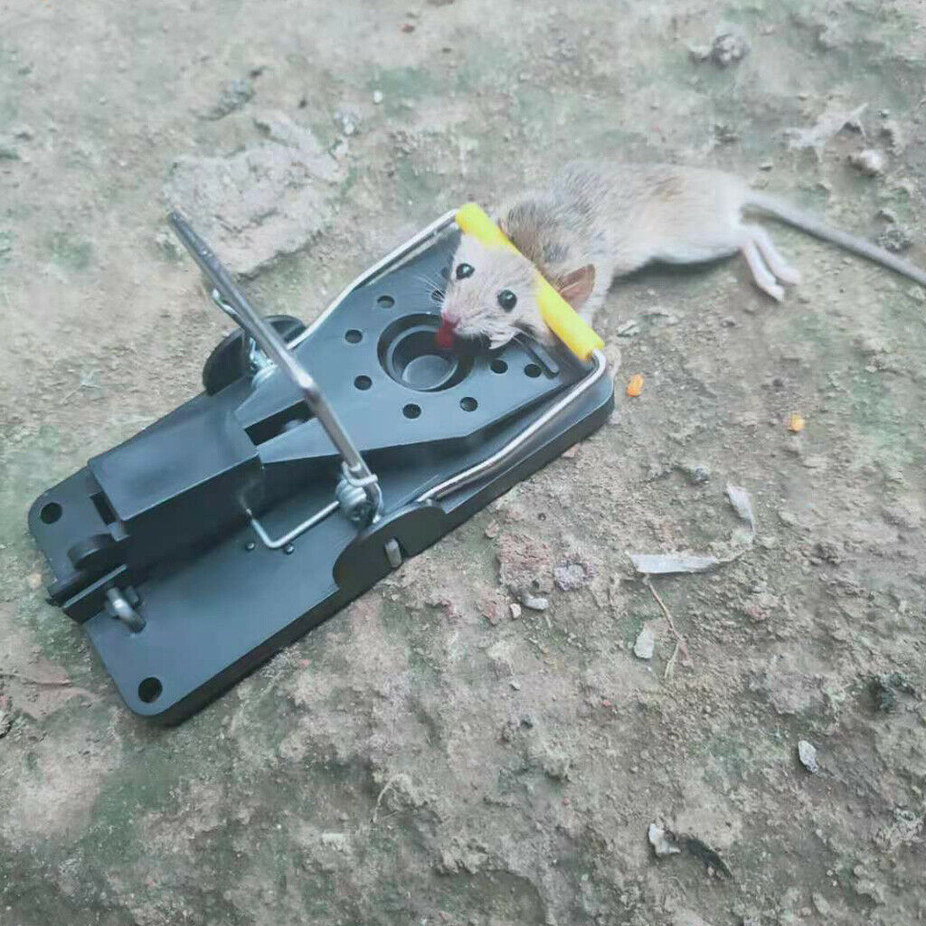 4pcs Mouse Trap with High Capture Rate Indoors Reusable Mice Trap for Family