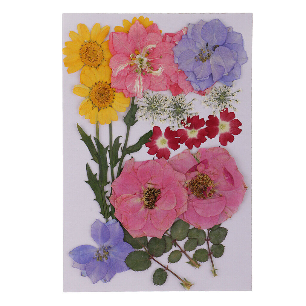 3 bags Dried Flower Leaf for Embellishment Crafts DIY Card Making Decor Ornament