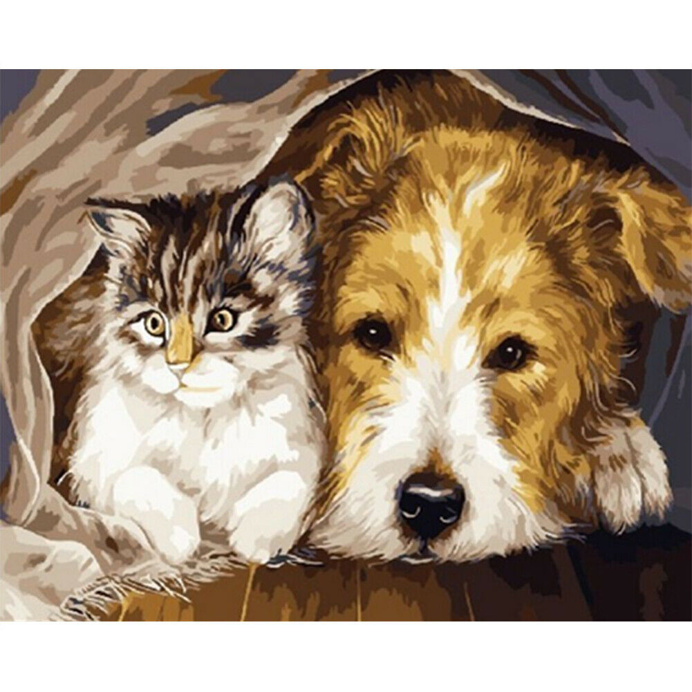 DIY Digital Oil Painting By Numbers Staying Dog Cat Acrylic Animal Picture @