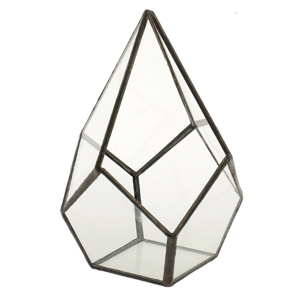 Clear Glass Terrarium Box Open Fern Moss Succulent Planter Case Flower Pot
