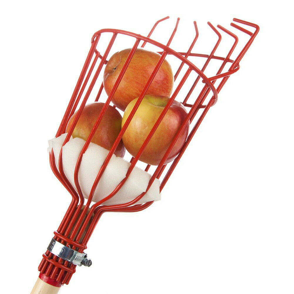 Metal Fruits Picking Tool Greenhouse Apples Peaches Orange Catcher Picker  @
