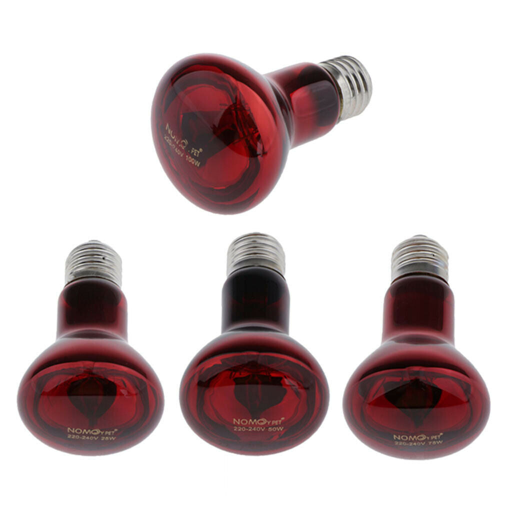 Reptile UVA Lamp Terrarium Lizard Tortoise Pet Supply Screw-In 220-240V 25W