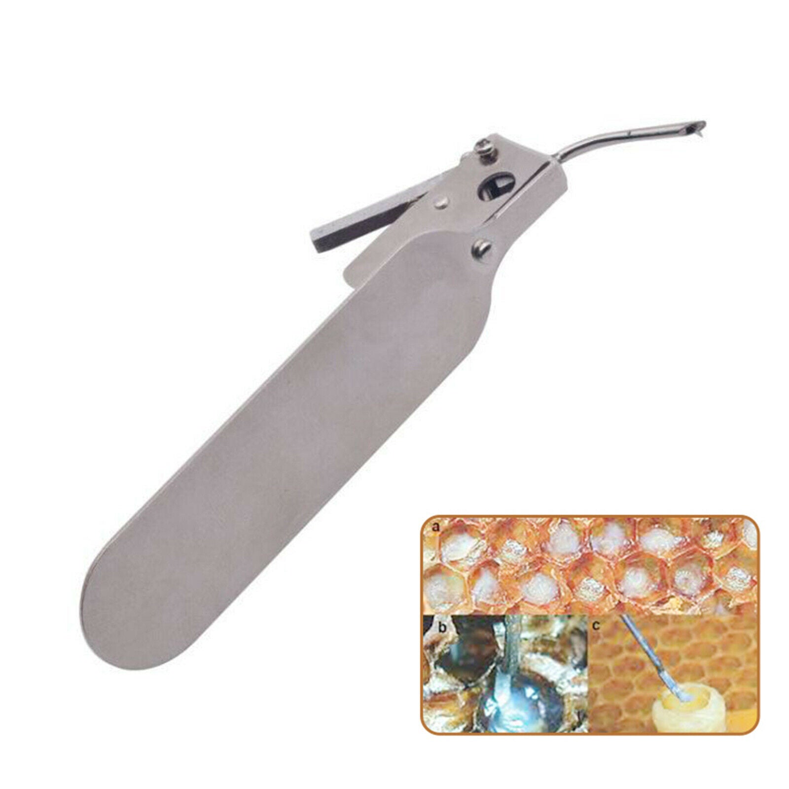 Worm Grafting Tool Equipment for Moving Queen Bee Larva Transferring Tool
