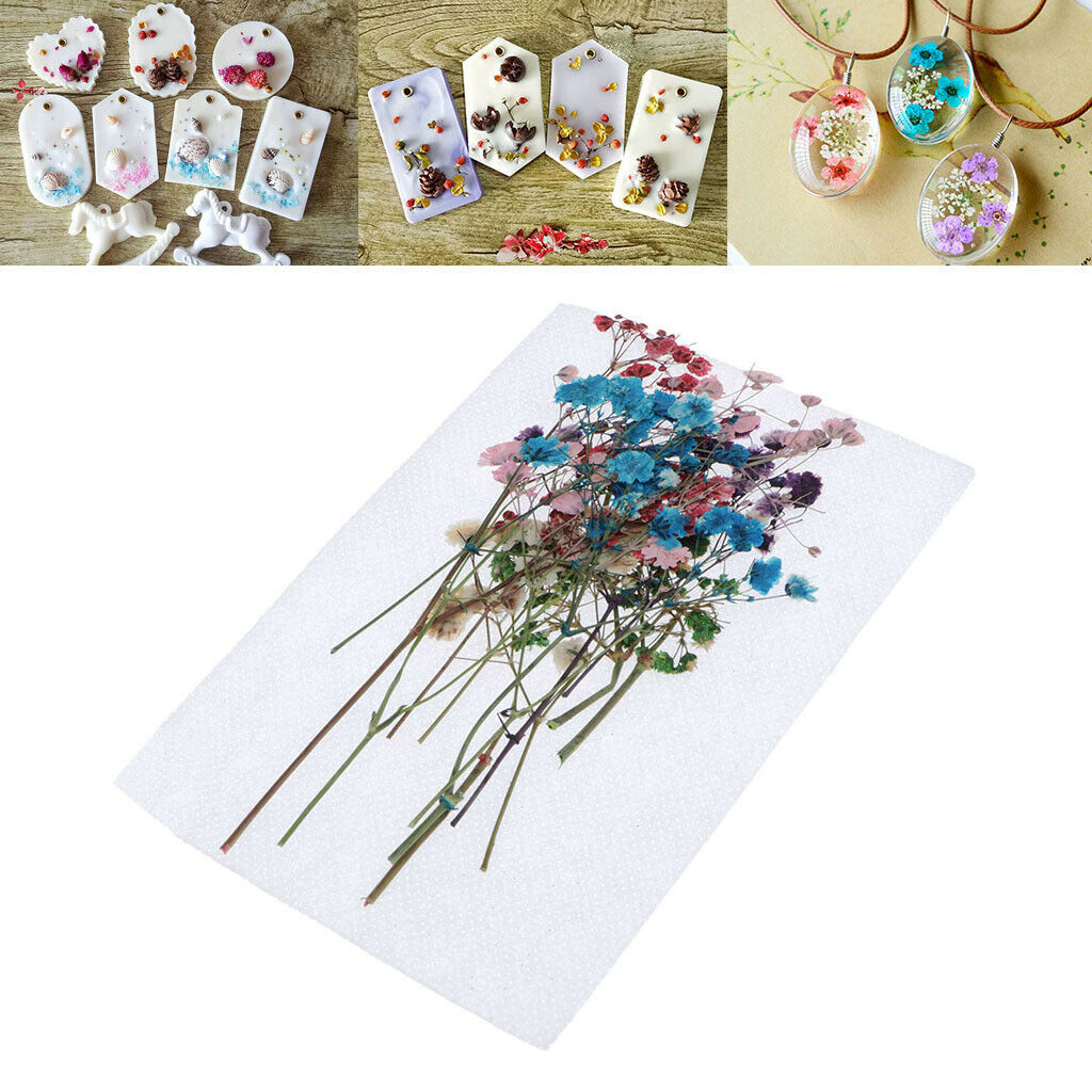 12Pcs Natural Dried Flowers Babysbreath DIY Pressed Herbarium Flower Decorative