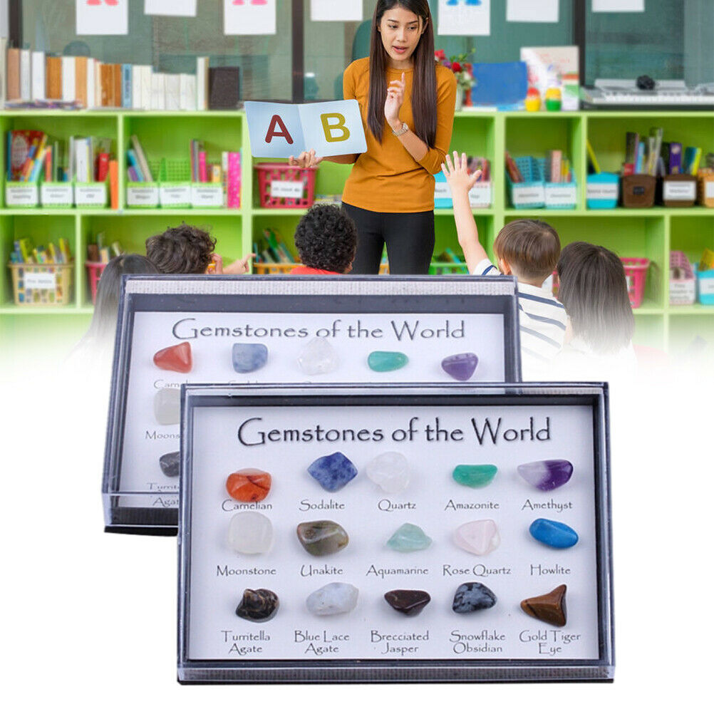 15 Pcs Mini Natural Crystal Agate Stone Rocks Minerals Fossils for Kids Teaching
