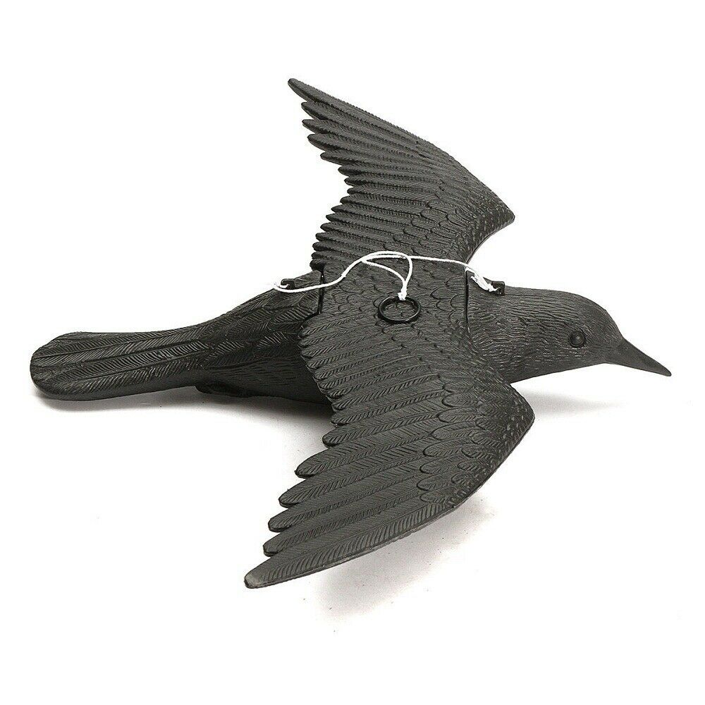 Crow Lure Falco Realistic Hunting Control Pests Garden Scarer Scarecrow
