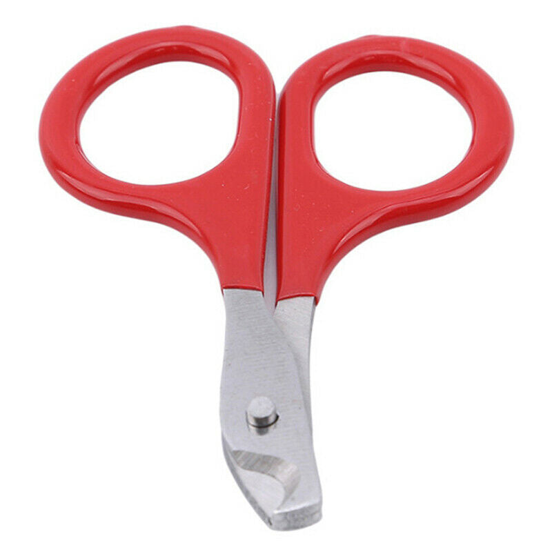 Cat Nails Scissors Pet Cat Claw Care Tools Pet Supplies Accessories Pet To JYDF