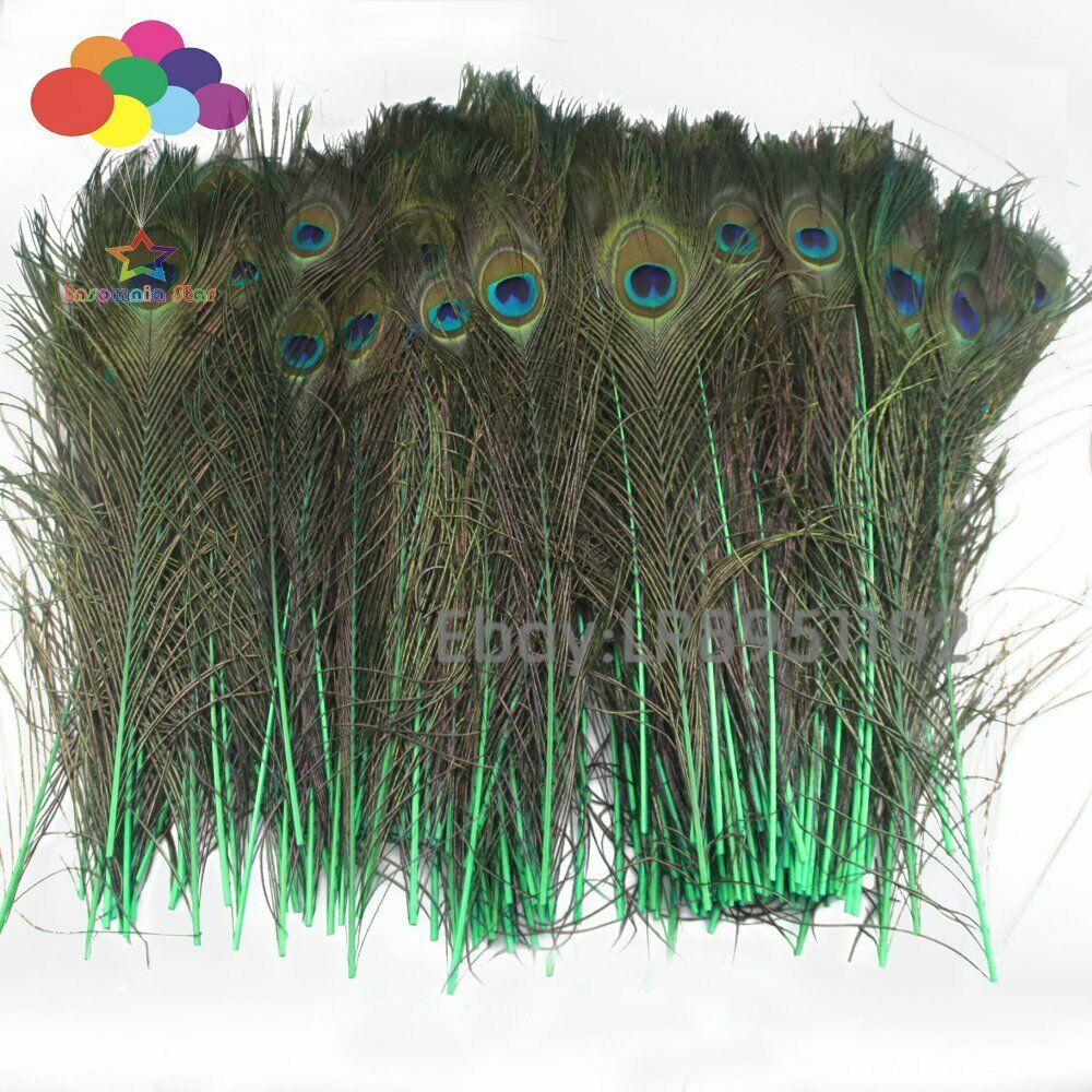 High quality 100 pieces more 40-45cm beautiful Grass green peacock feathers