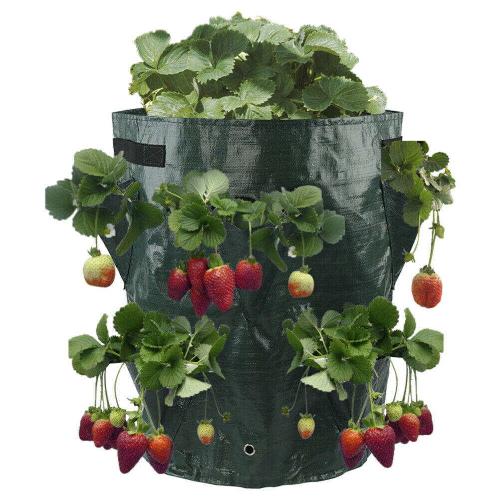 Garden Strawberry Vertical Planting Bag Plant Growing Pot Planter Pouch Reusable