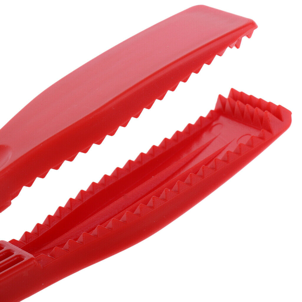 2 Pieces Of Fish Body Clamp With Lanyard