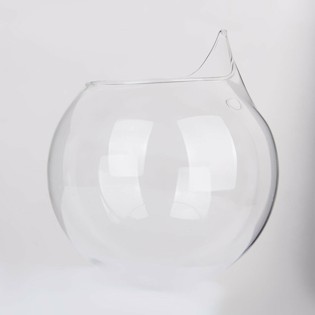2x Flower Plant Hanging Clear Glass Vase Bottle Pot Wedding Garden Ball Decor