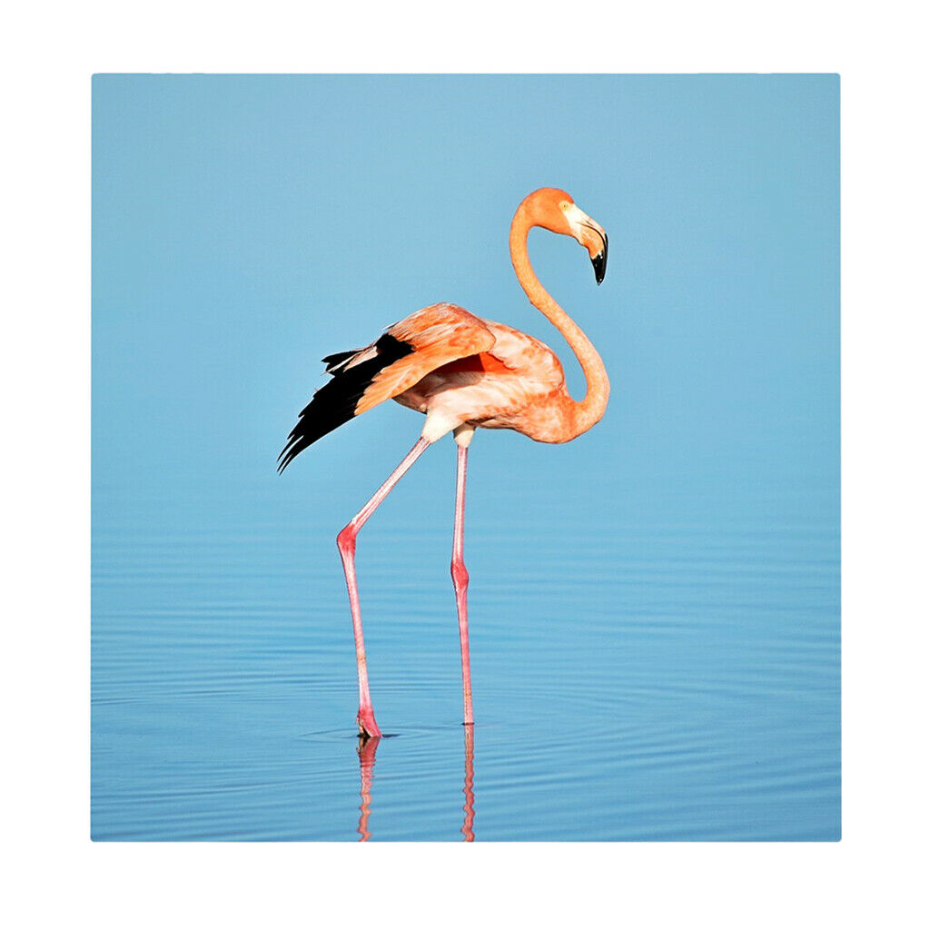 1 Set Daimond Painting Kit Lovely Animal Picture for Wall Decor Flamingos