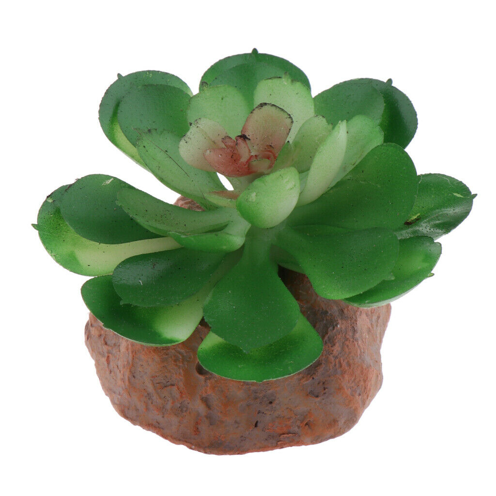 2pcs Animated Plants Underwater Decor Landscape Reptiles Snakes Hidden Cave