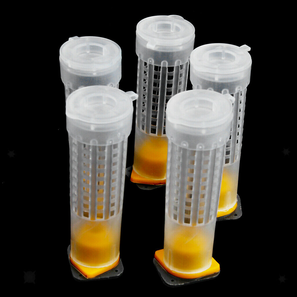 50 Pieces Beekeeping Queen Bee Hair Roller Cage Cell Cup Holder Cell Fixture,