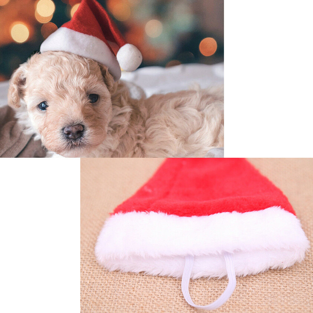 Christmas pet santa hat small puppy cat dog xmas holiday costume ornament.l8