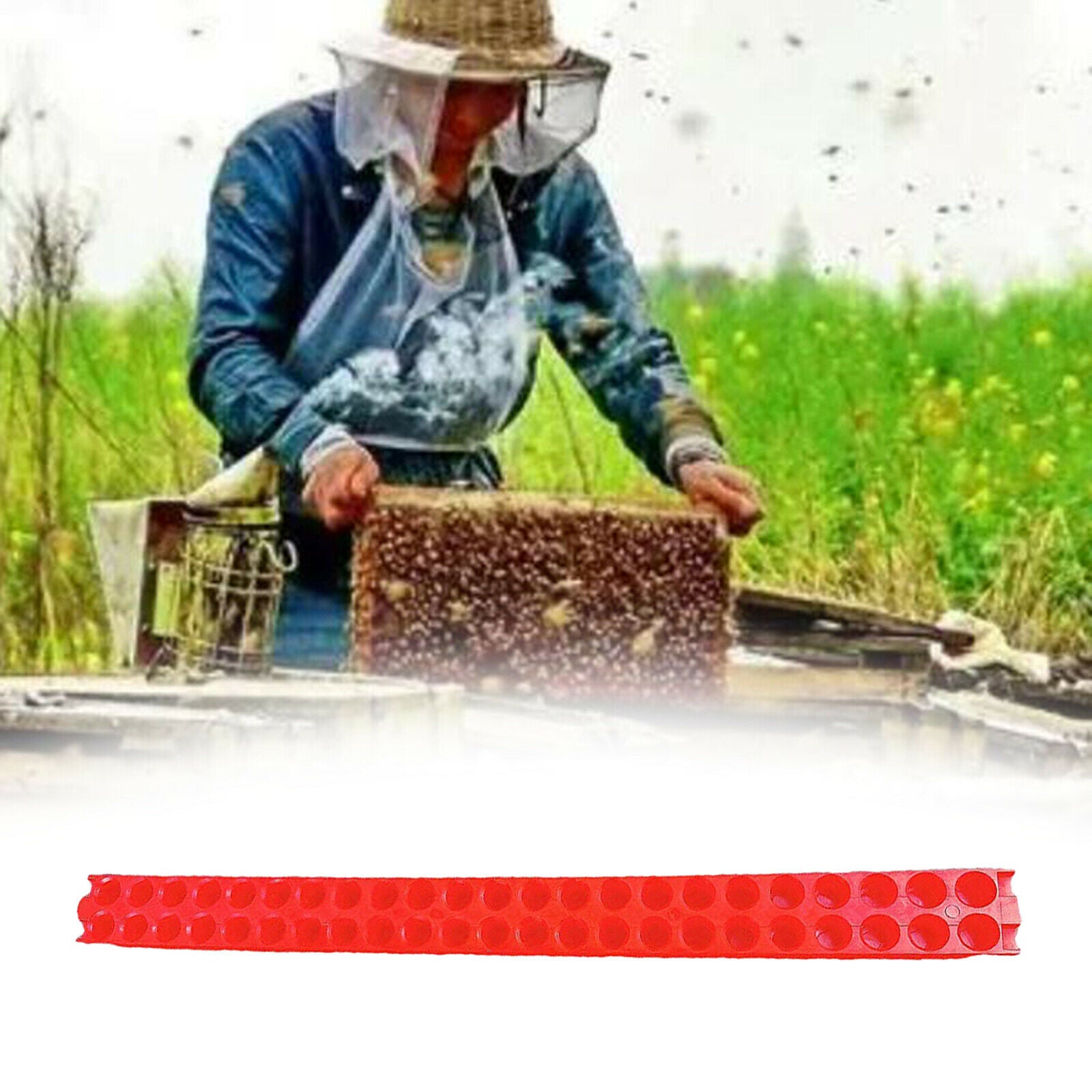 Plastic Queen Bee Transportation Strip for Isolator Cage Beekeeping Tools
