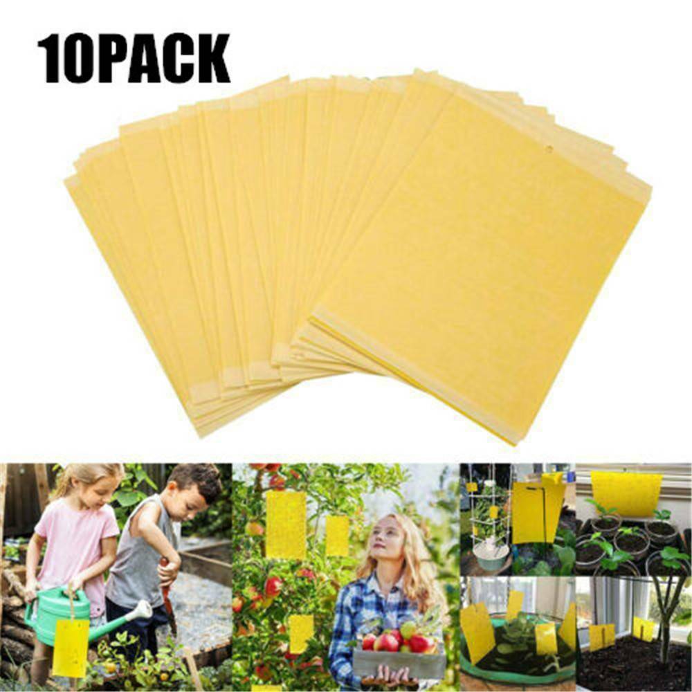 10Pcs Yellow Sticky Insect Killer Whitefly Thrip Fruit Fly Gnat Leafminer Traps