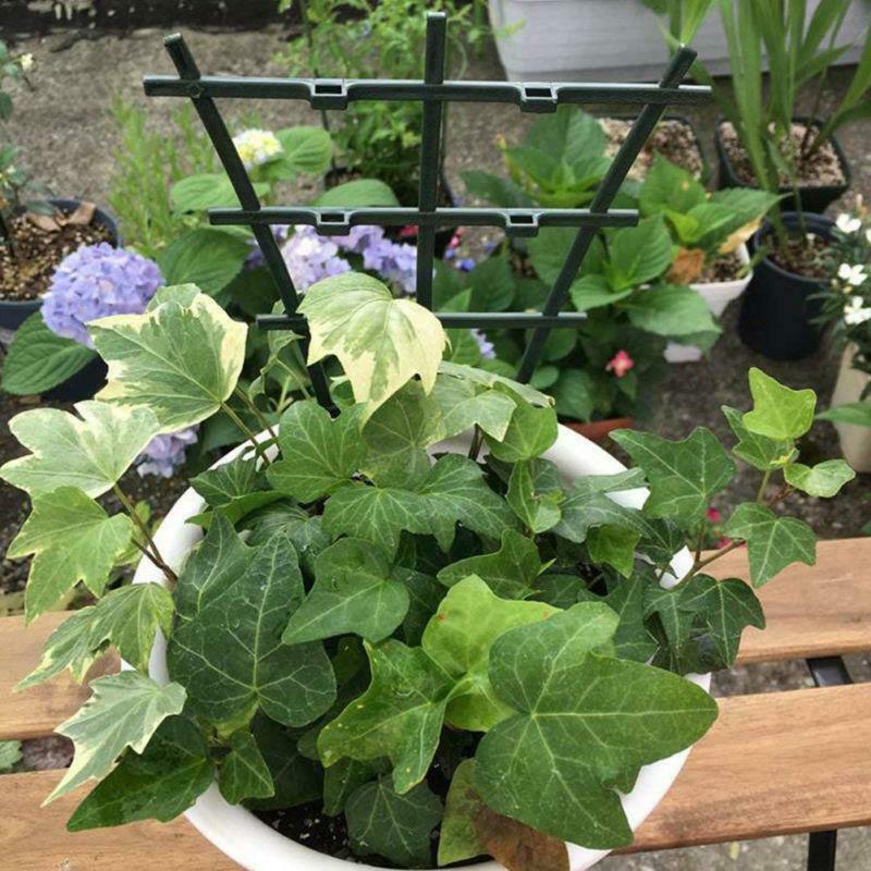 4PCS Garden Mini Climbing Trellis Flower Supports Plant Plastic Stand Hold Hot