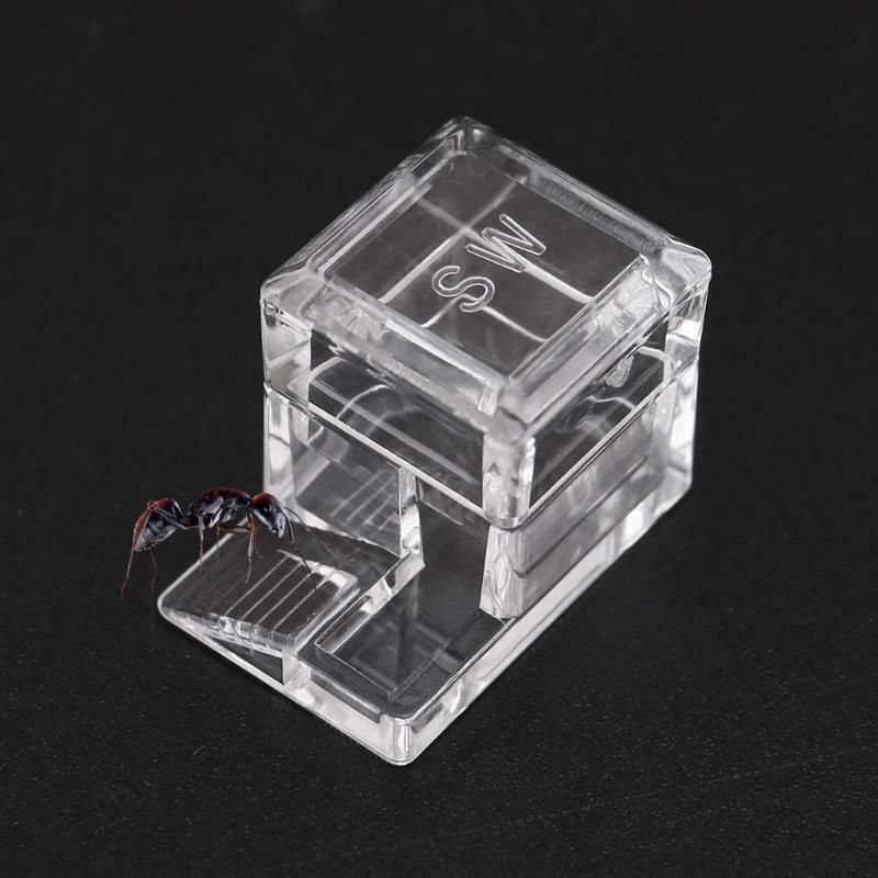 Sequare Design Ant Water Feeder Ant Farm Water Erea For Insect Ant Nests
