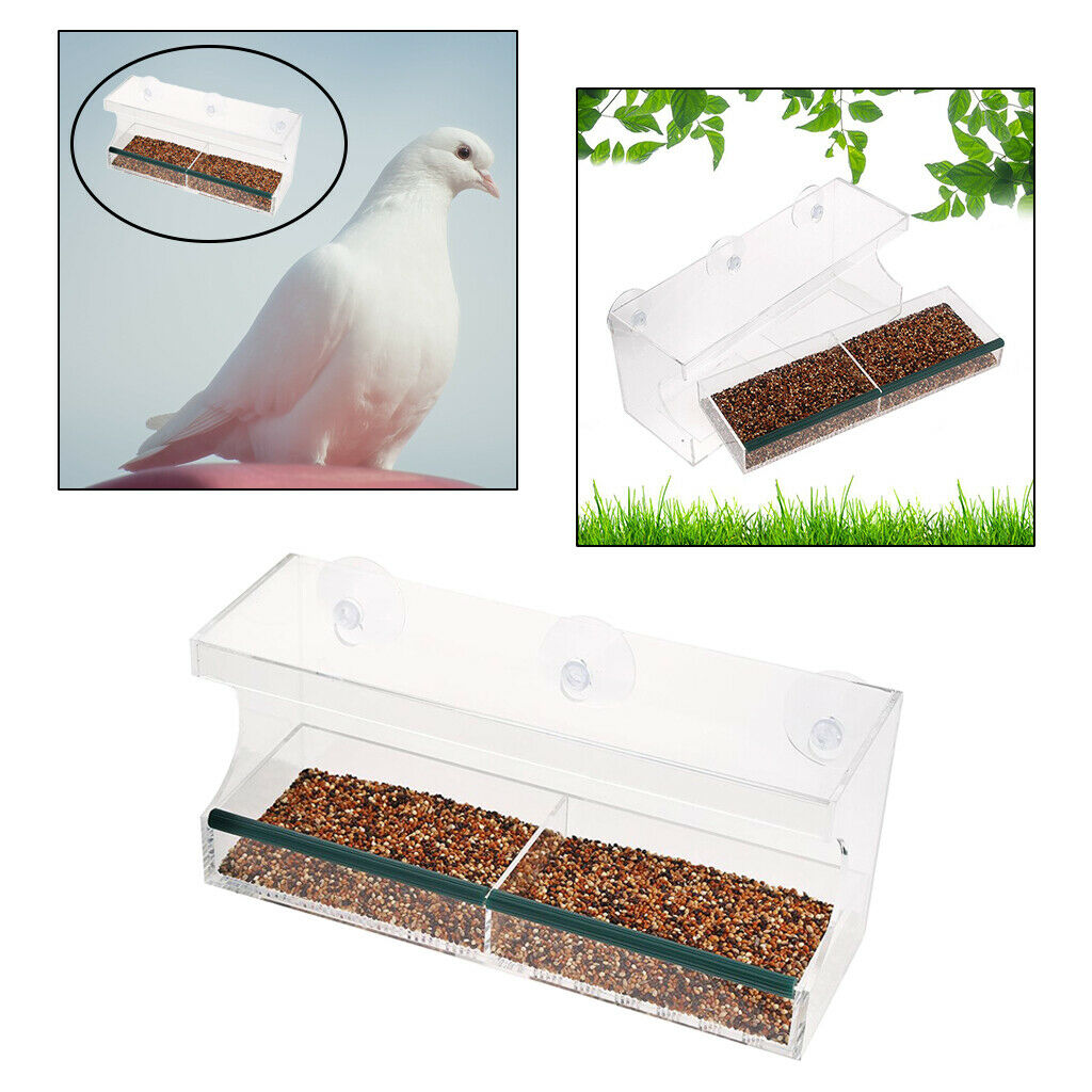 Hanging Window Bird Feeder Clear Wild Bird Feeder Outside View Up Close Bird