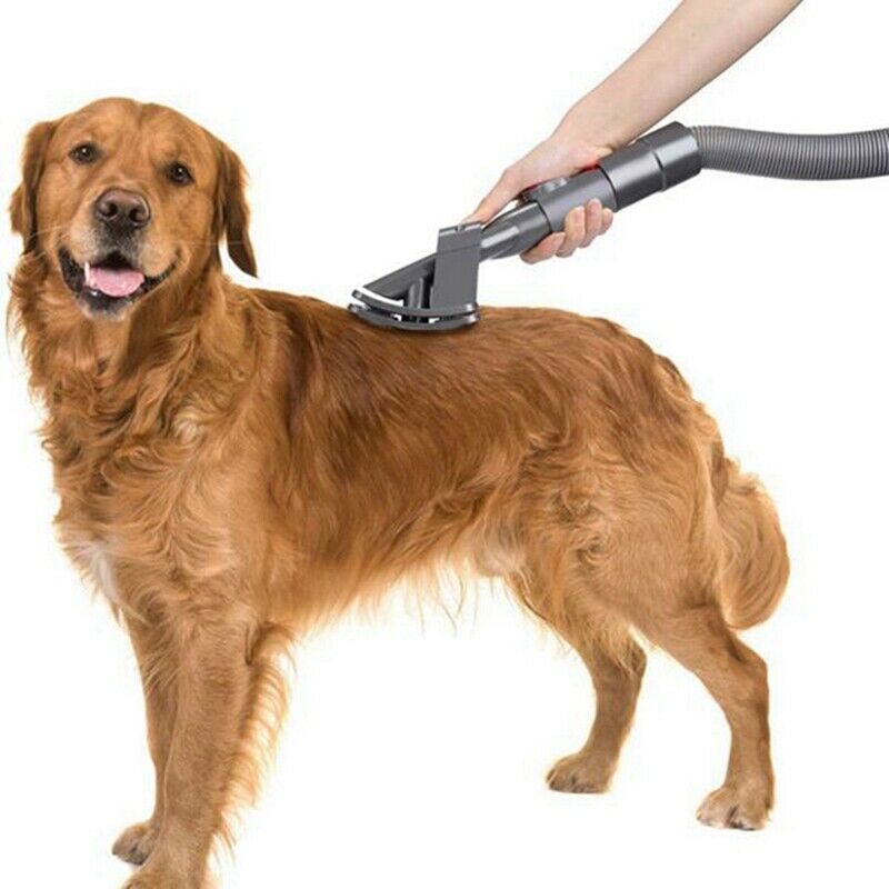 Vacuum Attachment Dog Cat Pet Bed Brush Groom Tool Compatible for Dyson V6 VY2V6