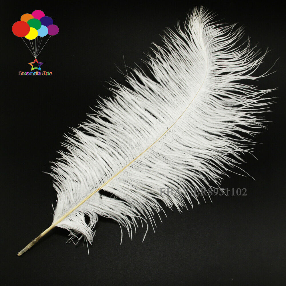 White Ostrich Feather 8-10 Inch/20-25 cm 50 PCS Home Decor Romantic wedding
