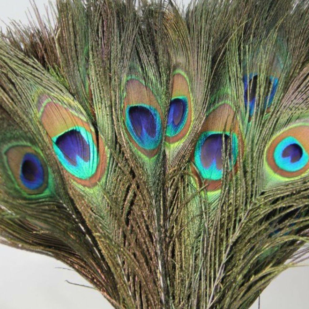 10Pcs DIY Natural Peacock Tail Feathers Wedding Festival Party Home Decoration