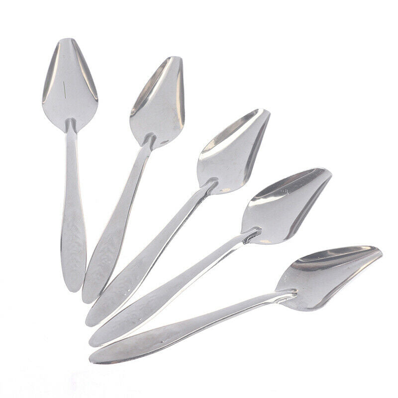 5Pc Baby Bird Pointed Feeding Spoon Stainless Steel Milk Medicine Parrot Fee CH