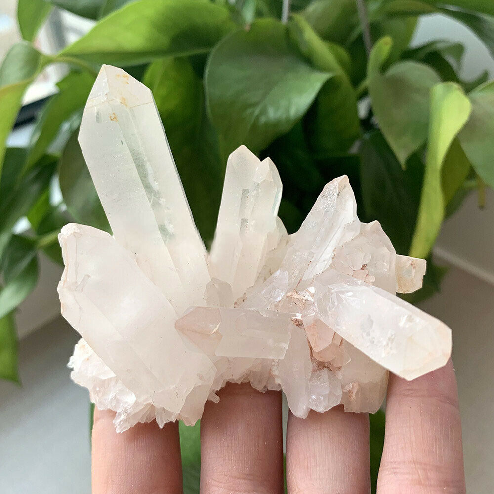 Clear Natural Crystal Quartz Citrine Cluster Mineral Specimen Healing Home Decor
