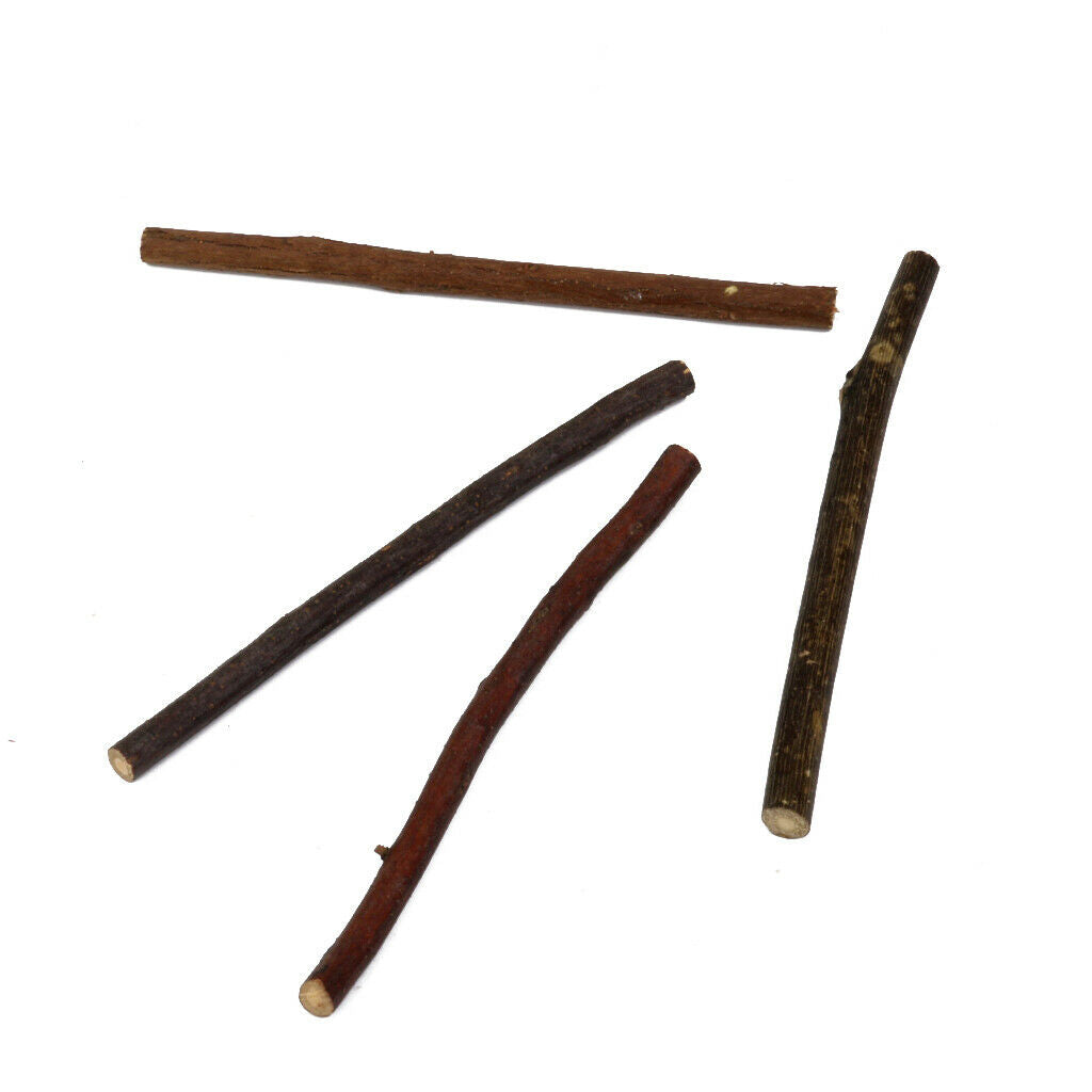 100pcs Natural Boxwood Tree Branch Sticks Branch for DIY Craft Decor