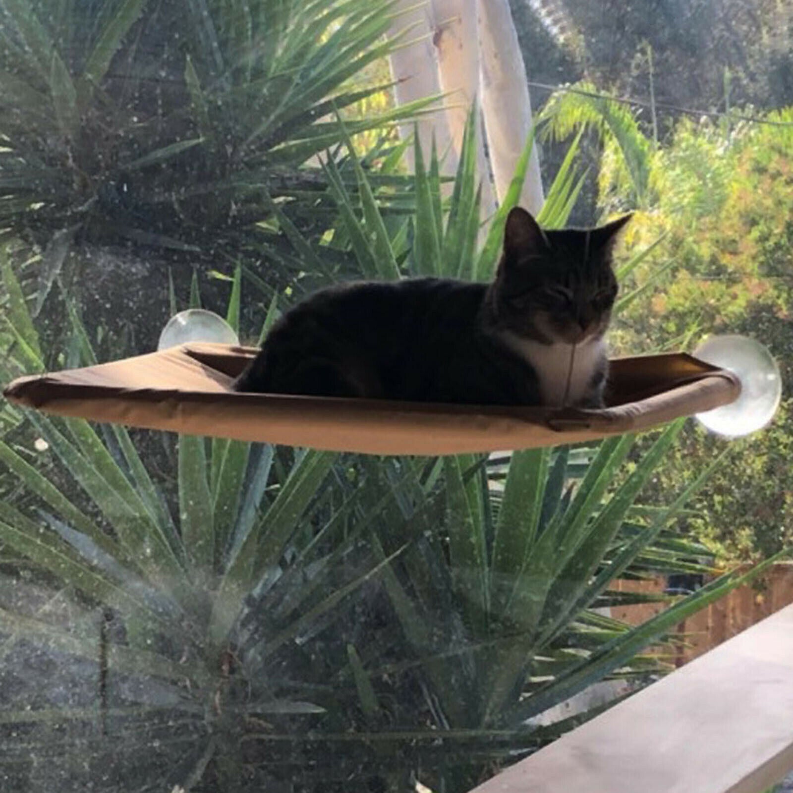 Cat Window Perch Hammock Rest Seat Heavy Duty Suction Cup Shelf Space Saving
