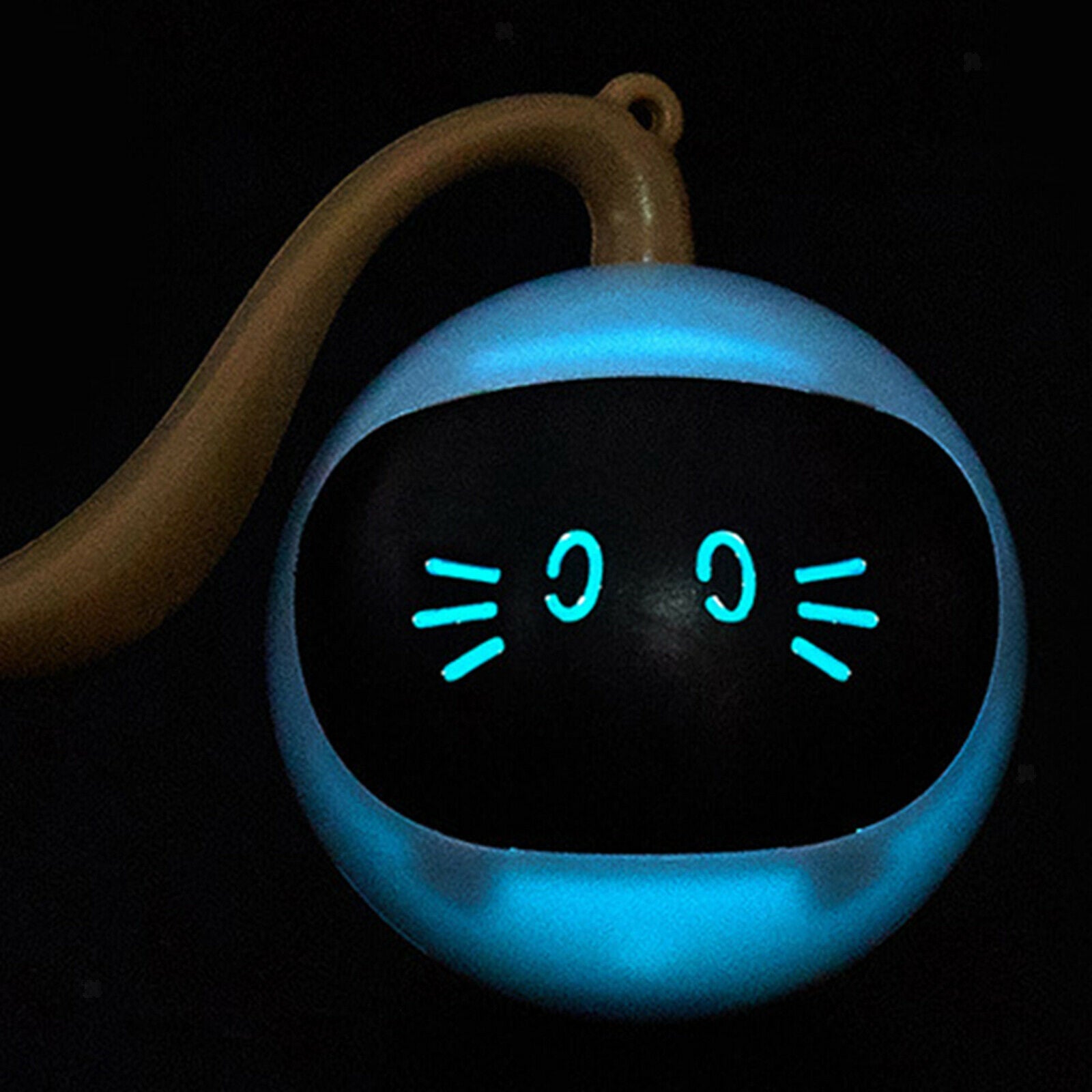 Interactive Cat Ball Toys Rechargeable Rolling Kitten Puppy Catch Training
