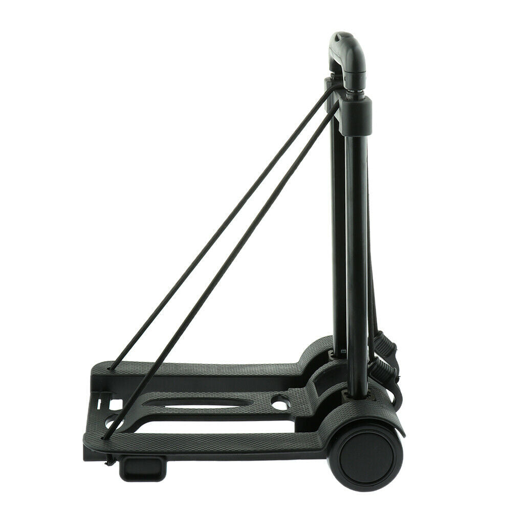 Pet Carrier Foldable Luggage Cart for Small Animals Pet Cat Dog