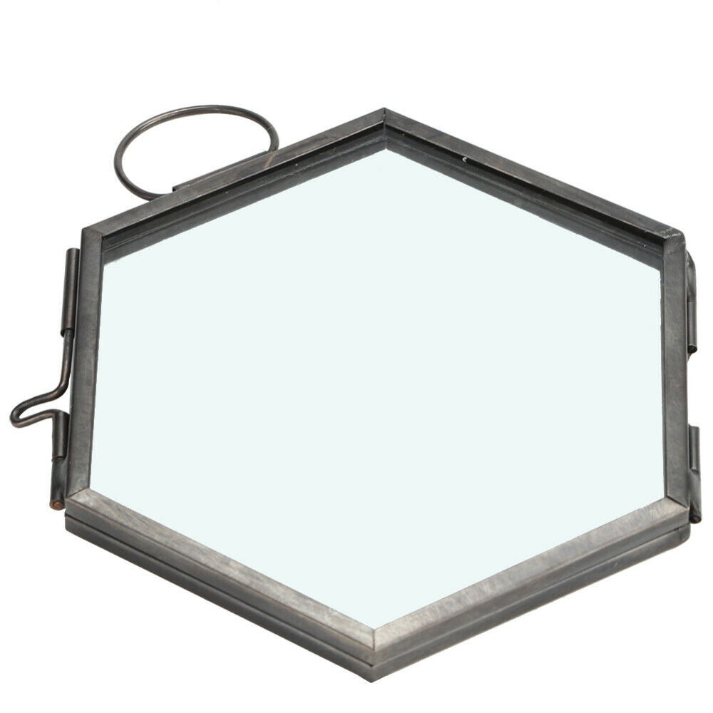 Glass Geometric Photo Picture Frame Hanging Flower Plant Specimen Display Holder