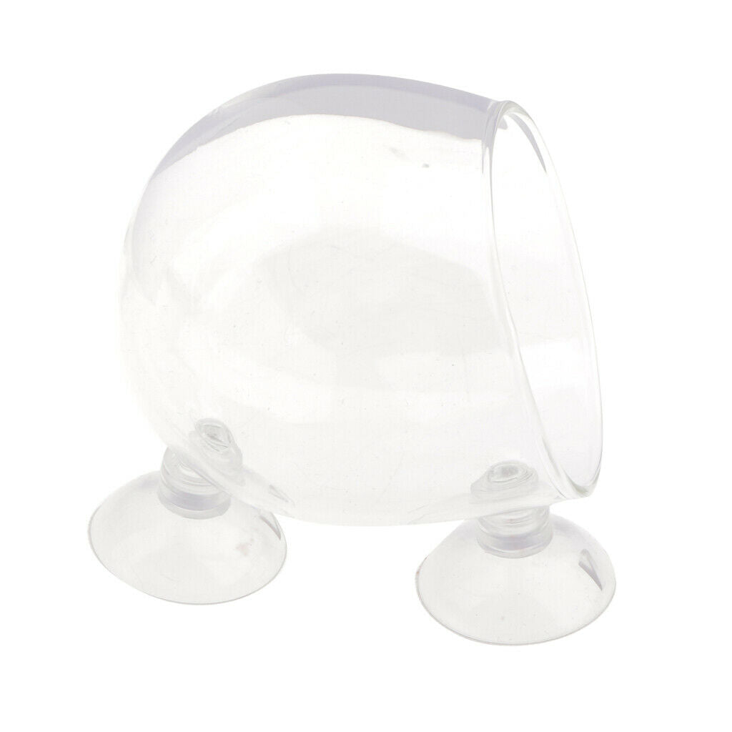 Transparent Aquatic Plants Pot Holder Plants Holder For Fish Planted Tanks