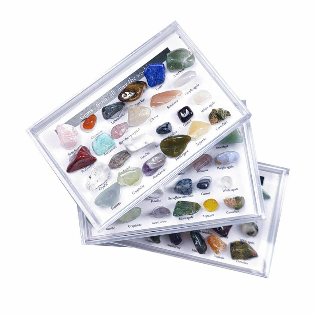 24 Pieces Rock and Mineral w/ Display Case Geography Education for Kids