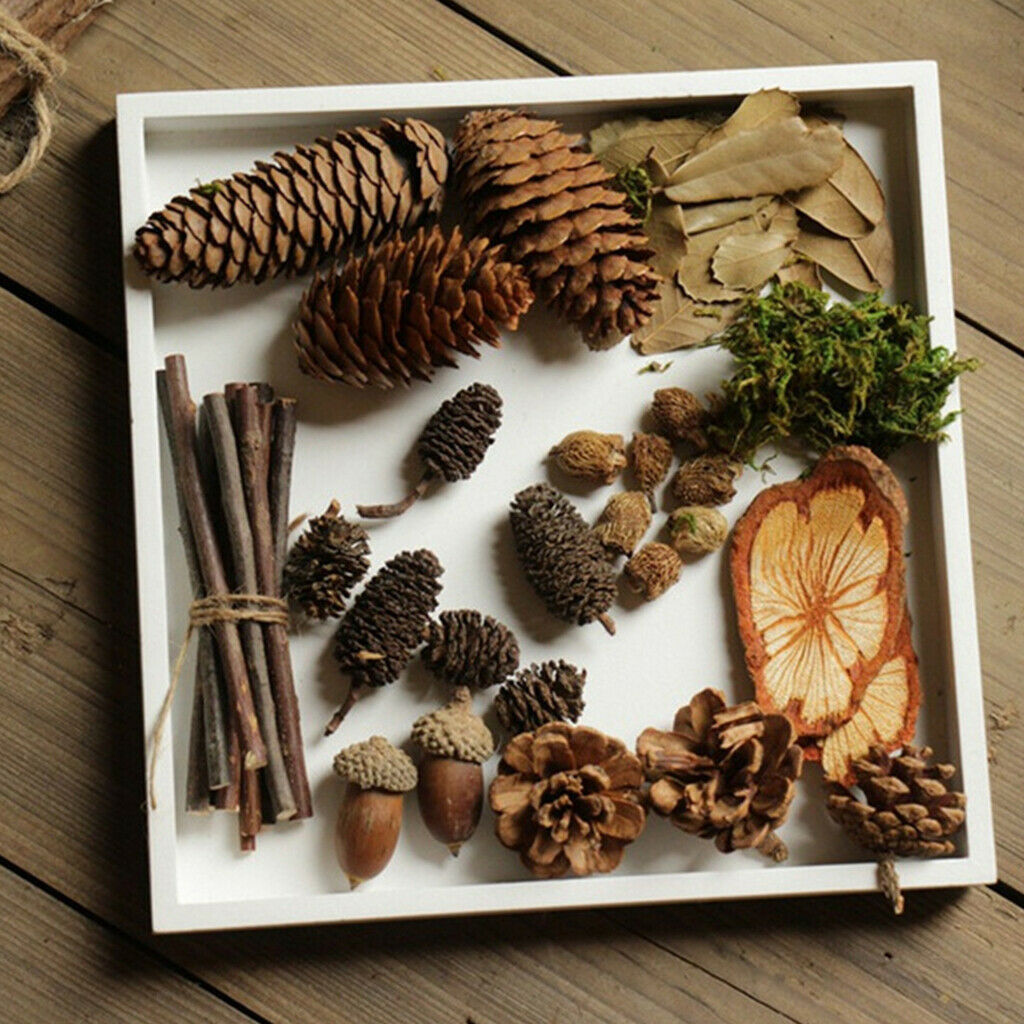 Natural Wood   Crafts Home Table Ornaments Dried Flowers