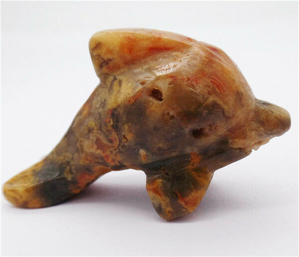 50x28x15mm Natural Crazy Lace Agate Dolphin Statue Healing Decoration HH8133