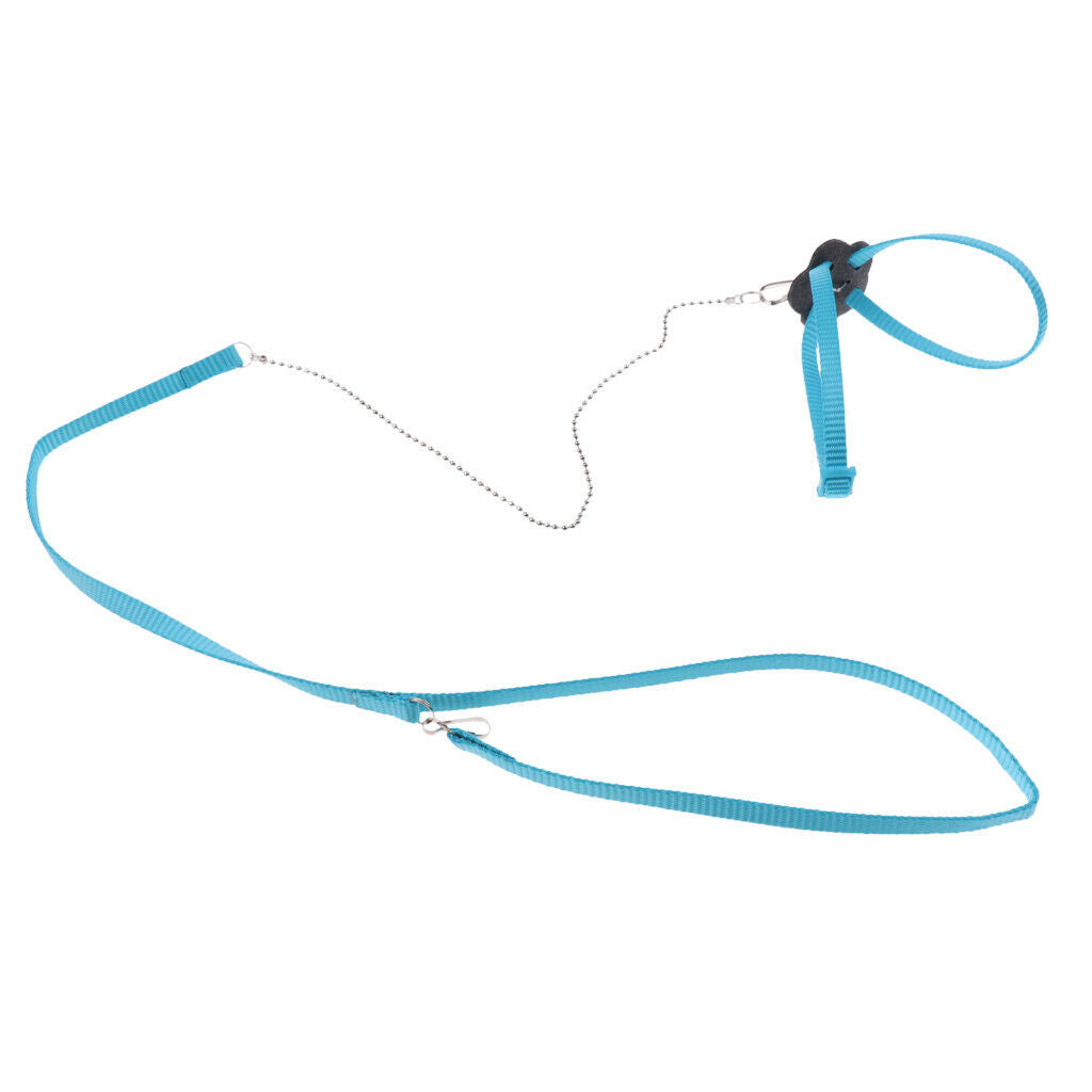 Breathable Pet Pee Pad Birds Wear Outdoor Clothes Cover Birds Traction Rope