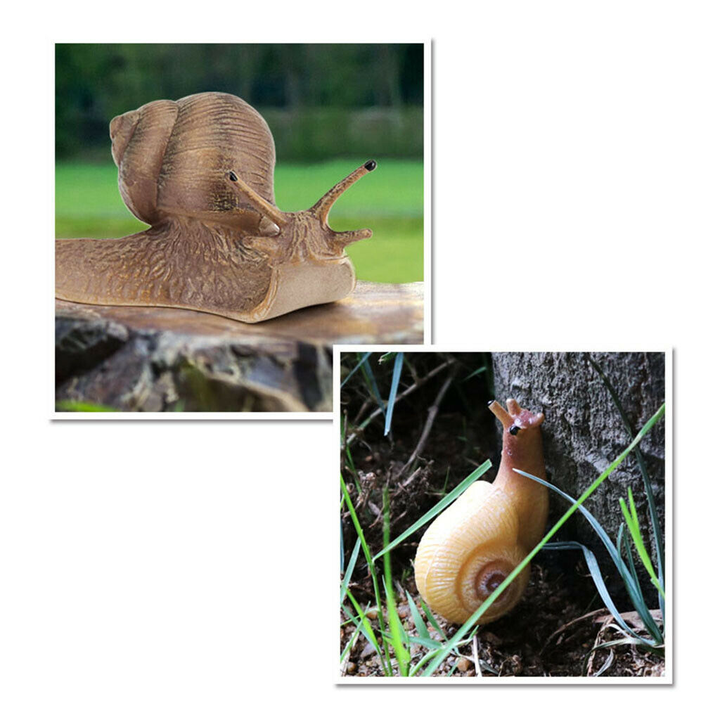 Simulation Snail Growth Life Cycle Child Educational Learning Cognitive Toys