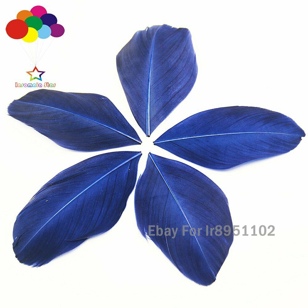 Natural Swan Feathers 5-7cm Plumes Navy Goose Feather Plume for DIY Wedding Diy