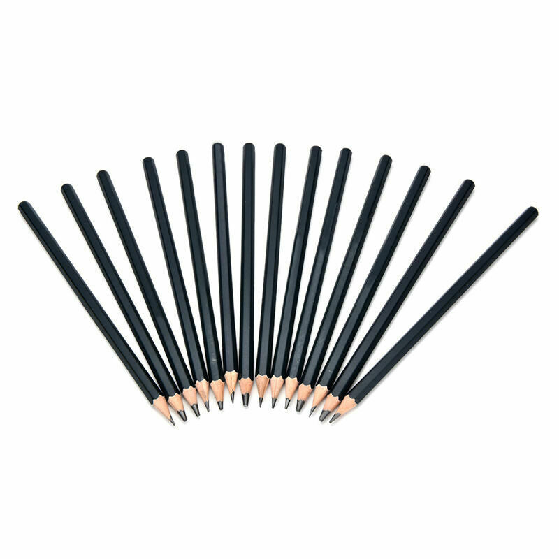 Set Of 14 Sketch Art Drawing Pencil Sketching Oil Base Artist Sketch Soft Yd