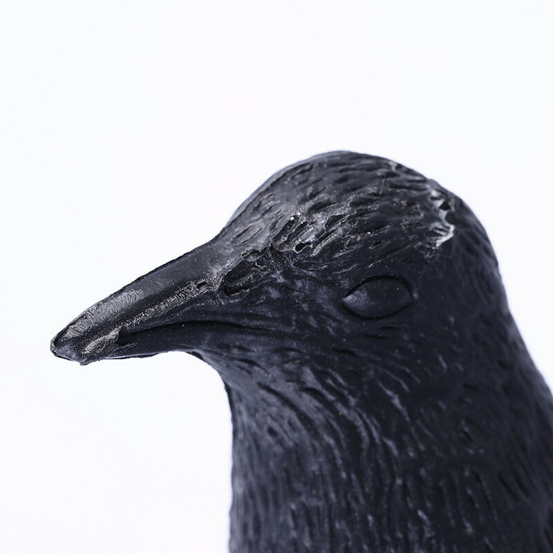 1pc black & white magpie decoy hunting trap bait shooting target bird BDDD