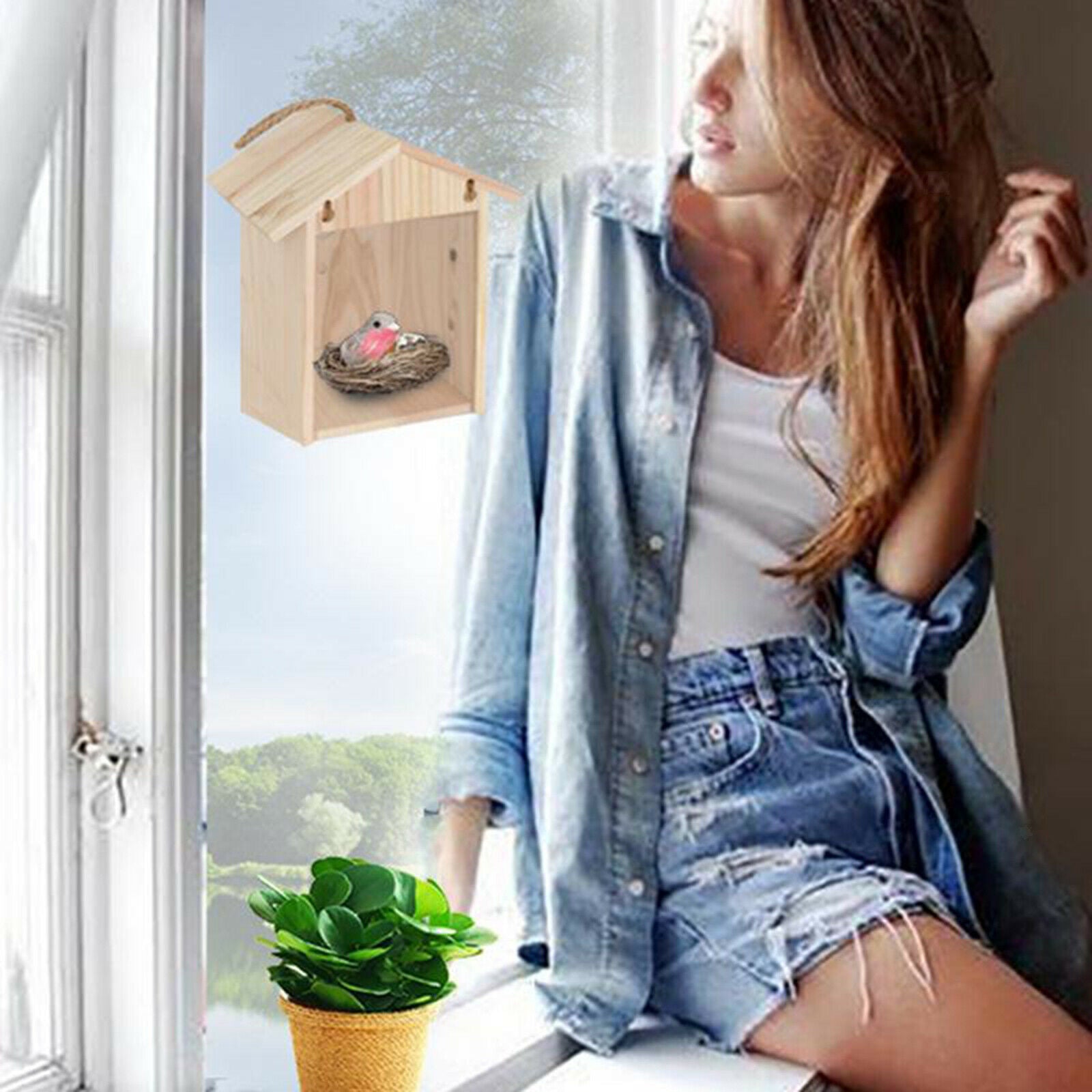 Outdoor Garden Backyard Birdhouse Birdcage with Transparent Background for